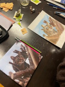 WhatsApp Image 2026-03-17 at 14.10.01