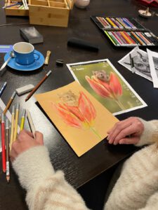 WhatsApp Image 2026-03-30 at 14.30.47