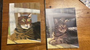 WhatsApp Image 2026-03-31 at 10.22.47